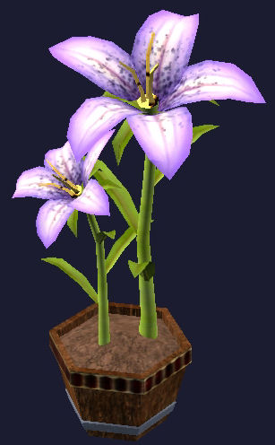 Lis violet en pot Tier 8 Plantes   125SP 72