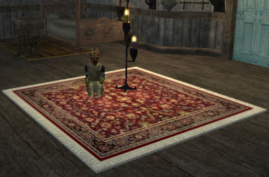 Tapis en lin brut Tier 5 Tapis   55SP 47